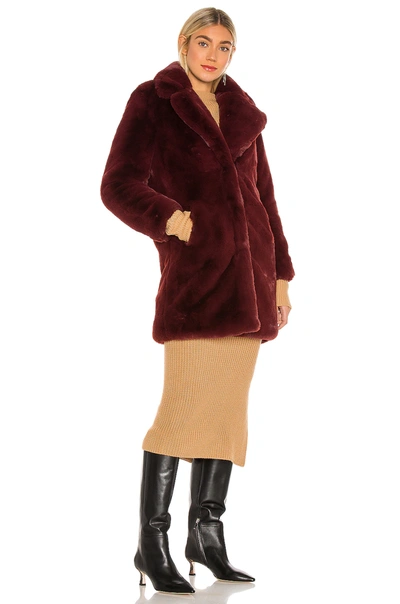 Shop Apparis Sasha Faux Fur Jacket In Burgundy