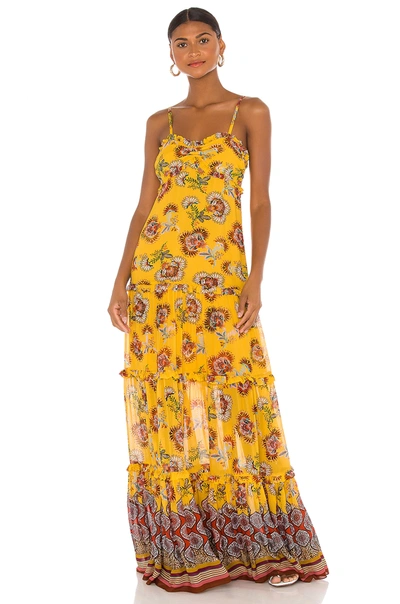 Shop Alexis Lussa Dress In Amber Bloom