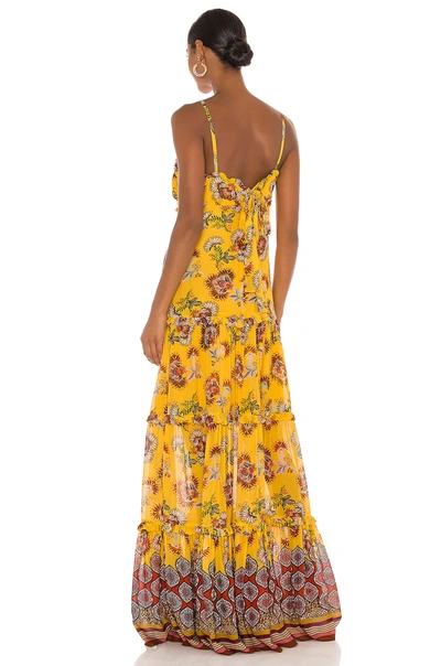 Shop Alexis Lussa Dress In Amber Bloom