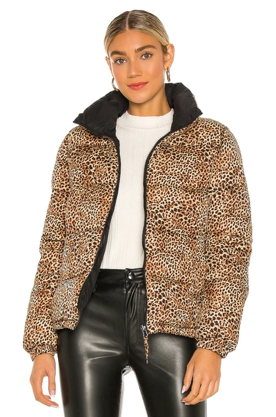 Shop Bb Dakota Cool Kitten Puffer In Leopard