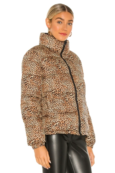 Shop Bb Dakota Cool Kitten Puffer In Leopard