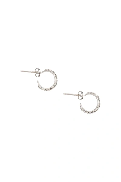 Shop Natalie B Jewelry Nysa Hoops Earring In Silver