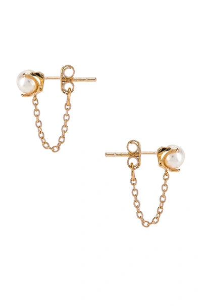 Shop Natalie B Jewelry Intergalactic Studs In Gold