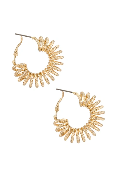 Shop Amber Sceats Textured Hoop Earring In Gold