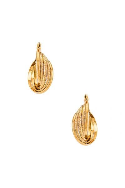 Shop Amber Sceats Hoop Earring In Gold