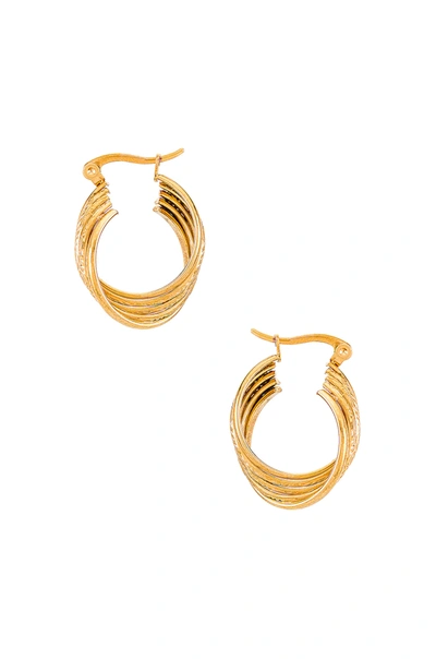 Shop Amber Sceats Hoop Earring In Gold