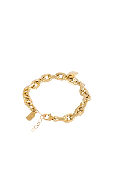 Shop Electric Picks Jewelry Refine Bracelet In Gold