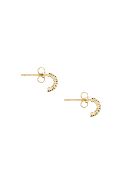 Shop Natalie B Jewelry Itty Bitty Huggy Hoop Earring In Gold