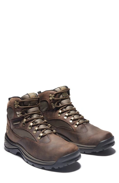 Shop Timberland Chocorua Trail Mid Waterproof Hiking Boot In Medium Brown Full Grain