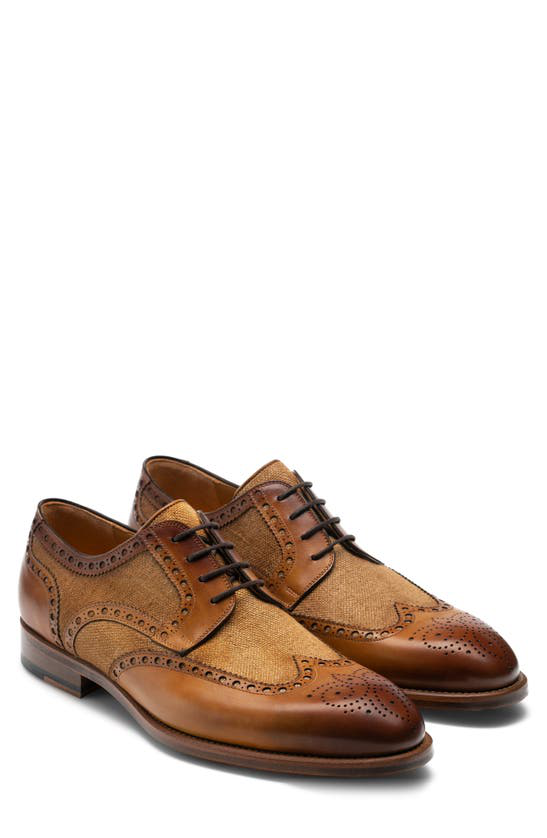 magnanni cuervo