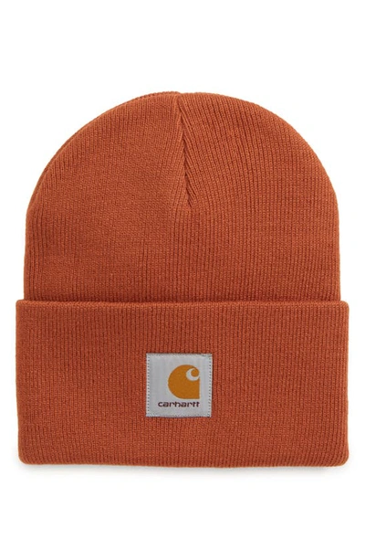 Shop Carhartt Watch Hat In Cinnamon