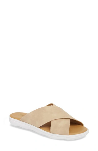 Shop Lucky Brand Mahlay Slide Sandal In Travertine Leather