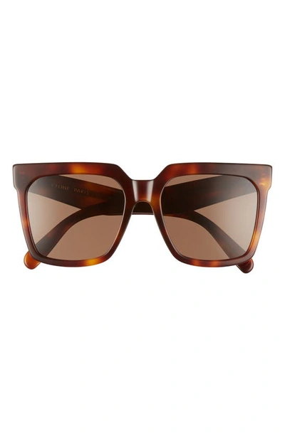 Shop Celine 55mm Polarized Square Sunglasses In Blonde Havana/ Brown