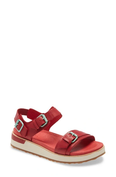 Shop Merrell Roam Buckle Sandal In Chili Leather