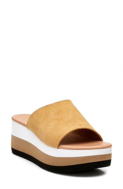 Shop Matisse Platform Wedge Slide Sandal In Natural