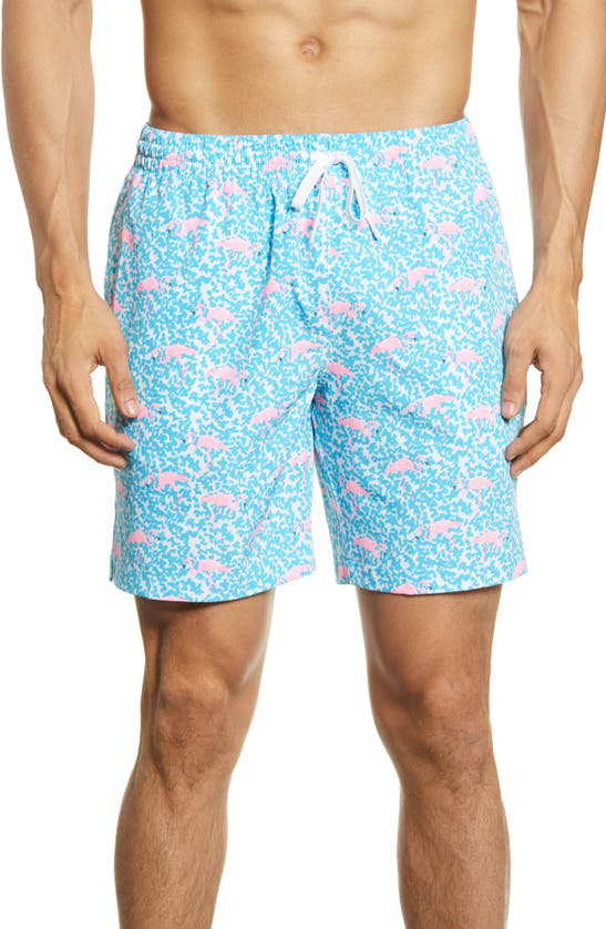 chubbies lined swim trunks review