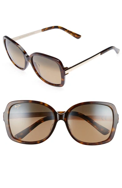 Shop Maui Jim Melika 58mm Polarizedplus2® Square Sunglasses In Dark Tortoise Gold/ Bronze