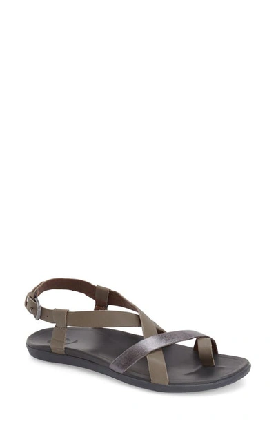 Shop Olukai 'upena' Flat Sandal In Grey Leather