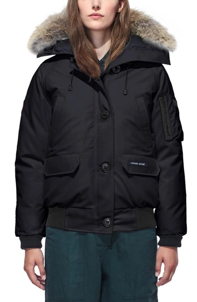Shop Canada Goose Chilliwack Hooded Down Bomber Jacket With Genuine Coyote Fur Trim In Navy
