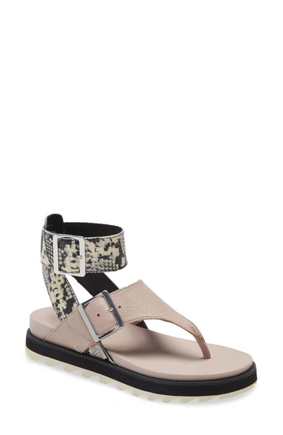 Shop Sorel Roaming T-strap Sandal In Mauve Vapor