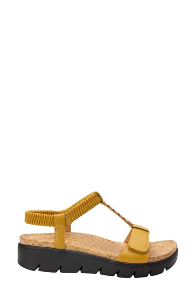 Shop Alegria Harlie T-strap Sandal In Mustard Leather