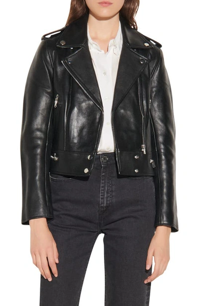 Shop Sandro Leather Moto Jacket In Black