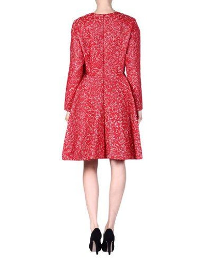 Shop Giambattista Valli Knee-length Dress In Red