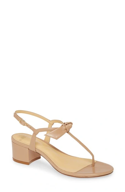 Shop Alexandre Birman Clarita T-strap Sandal In Tan