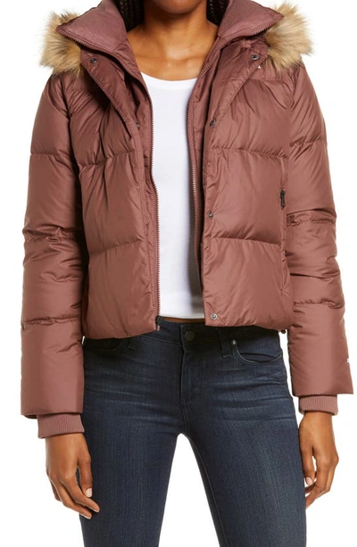Shop The North Face Dealio 550 Fill Power Crop Hooded Down Jacket In Marron Purple