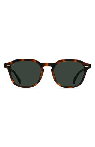 Shop Raen Clyve 52mm Polarized Round Sunglasses In Espresso Tortoise/ Green Polar