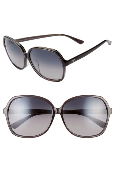 Shop Maui Jim Taro 59mm Polarizedplus2(r) Round Sunglasses In Translucent Grey/ Neutral Grey