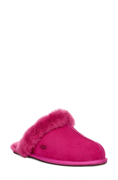 Shop Ugg Scuffette Ii Slipper In Fuchsia