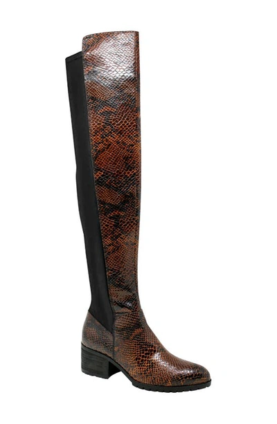 Shop Charles By Charles David Reason Over The Knee Boot In Dark Brown Snake Print