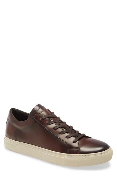 Shop To Boot New York Castle Sneaker In Brown