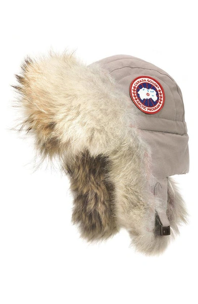 Shop Canada Goose Aviator Hat With Genuine Coyote Fur Trim In Limestone