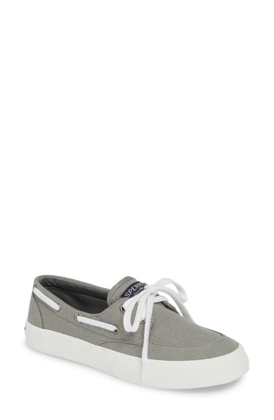 Shop Sperry Crest Boat Sneaker In Grey Fabric