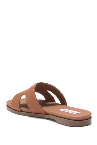 Shop Steve Madden Hoku Slide Sandal In Cognac Leather