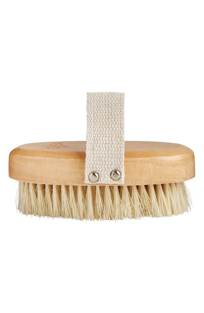 Shop Osea Body Brush