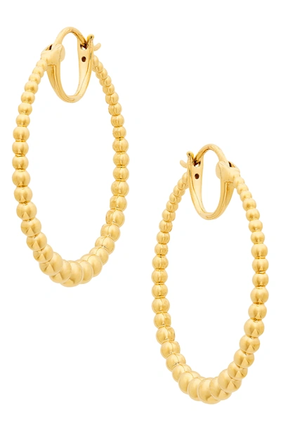 Shop Ajoa Lala Beaded Hoop Earrings In Gold