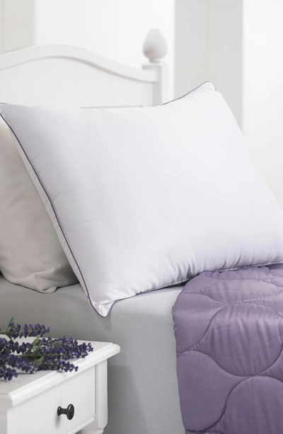Shop Climarest Sleep Infusion Lavender Aromatherapy Microfiber Pillow In White