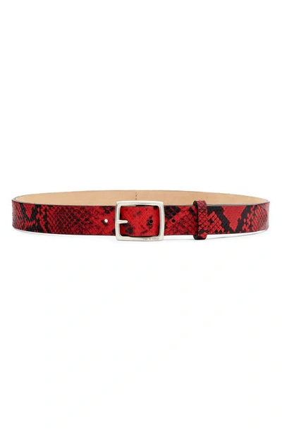 Shop Rag & Bone Boyfriend Snake Embossed Leather Belt In Red