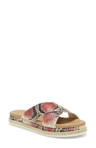 Shop Vince Camuto Rickert Slide Sandal In Coral Snake Print Leather