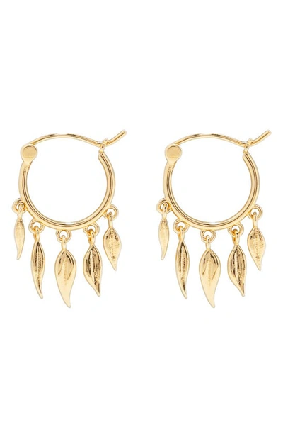 Shop Gorjana Autumn Flutter Huggie Hoop Earrings In Gold