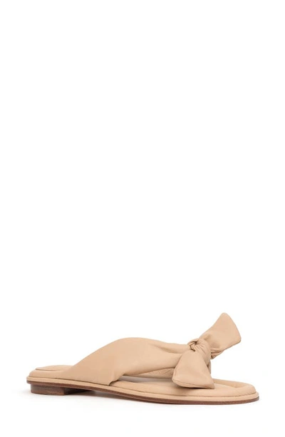Shop Alexandre Birman Soft Clarita Flat Sandal In Nude