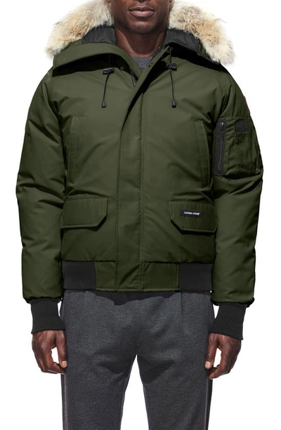 Shop Canada Goose Chilliwack Down Bomber Jacket With Genuine Coyote Fur Trim In Military Green