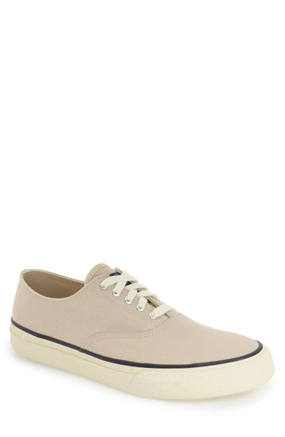 Shop Sperry 'cloud Cvo' Sneaker In Birch