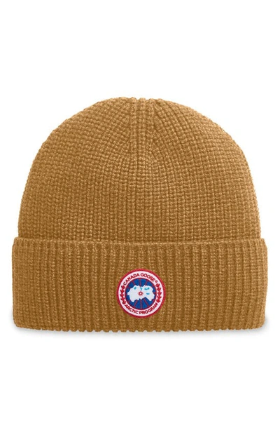 Shop Canada Goose Arctic Disc Ribbed Toque Beanie In Heirloom Gold