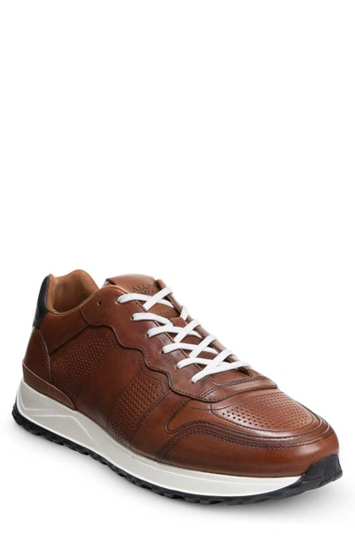 Shop Allen Edmonds Lightyear Sneaker In Chestnut Leather