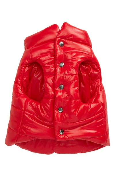 Shop Moncler Genius Moncler Poldo Giubbotto Dog Puffer Jacket In Red