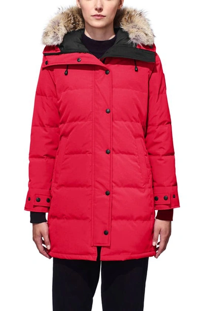 Shop Canada Goose Shelburne Fusion Fit Genuine Coyote Fur Trim Down Parka In Red
